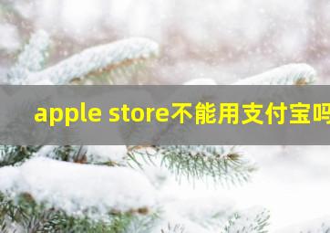 apple store不能用支付宝吗